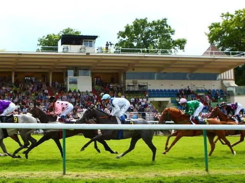 Pronostics Turf du 26/07/2022 : nos chevaux repérés pour Compiègne (R1) et Les Sables-d’Olonne (R4)