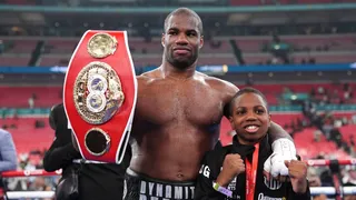 Boxe IBF : Le classement des Poids Lourds