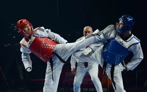 Jeux Paralympiques 2024 : les règles du para taekwondo