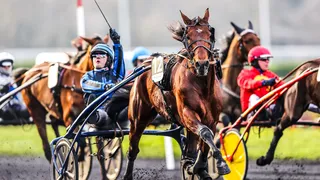 Prime Prix d’Amérique 2025 : combien gagne le vainqueur ?