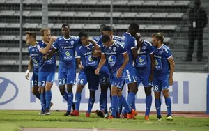 Niort, un chamois qui rumine