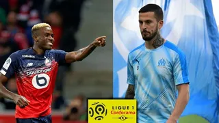 Lille – Marseille : Les Dogues souverain à domicile ?