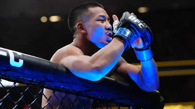 Classement UFC : les classements de chaque catégorie UFC