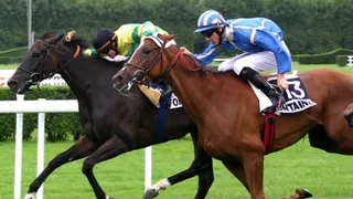 Pronostics Turf du 05/08/2022 : nos chevaux repérés pour Vichy (R4) et Clairefontaine-Deauville (R5)