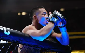 Classement UFC : les classements de chaque catégorie UFC