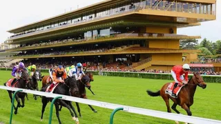 Pronostics Turf du 21/07/2022 : nos chevaux repérés pour ParisLongchamp, Clairefontaine-Deauville et Vichy