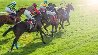 Quinté du jour (17/05/2023) : l’ordre d’arrivée détaillé de la course