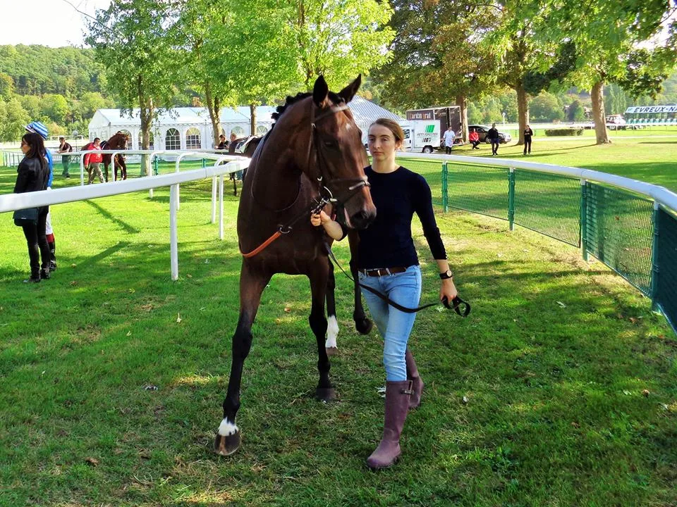 Cavaliers d'entrainement
