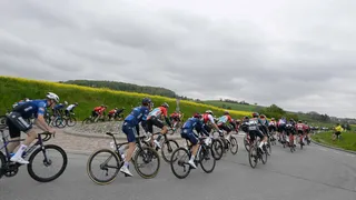 Tour de Suisse 2023 :  La liste des engagés et les favoris