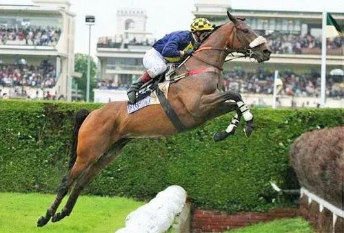 Mes sauteurs préférés