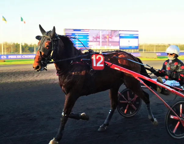 Gimy du Pommereux troisième du Prix de Croissanville