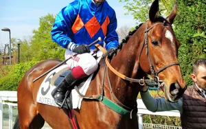 Le Gentil monstre d’Auteuil!