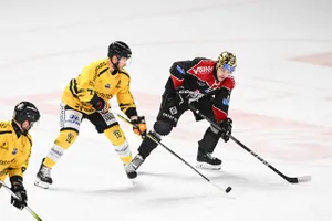 Rouen – Bordeaux : À quelle heure ? Sur quelle chaine TV regarder la finale de Ligue Magnus ?