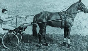 Centenaire du Prix d'Amérique 1920 Pro Patria