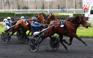 Classement Prix d’Amérique 2025 : résultat et quinté dans l’ordre