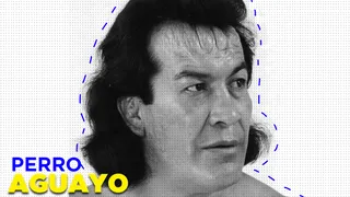 Décès de Perro Aguayo à l’âge de 73 ans