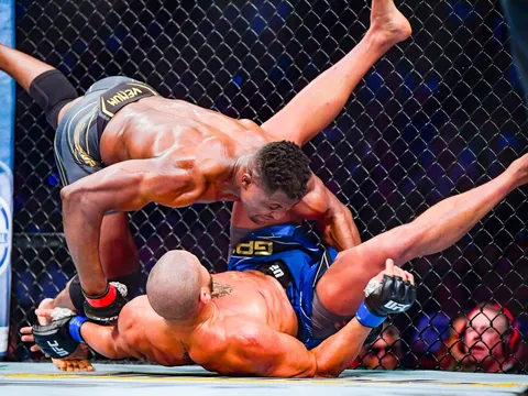 De l’ombre à la lumière : l’histoire de l’UFC en France