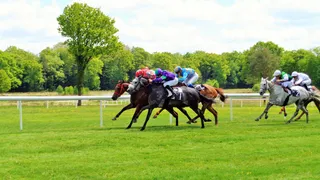 Hippodrome du Pin au Haras: les courses hippiques à l’état pur