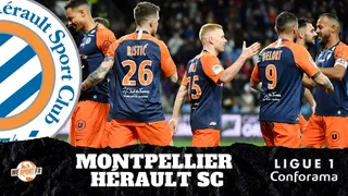 Montpellier HSC : Saison interrompue, Hérault déchu