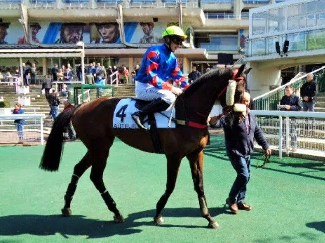 Les couleurs de l'écurie Anjou Passion à Auteuil