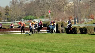 Auteuil:  Du muscle, de la sueur, du courage, du suspens