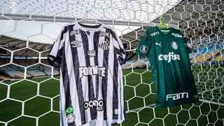 Copa Libertadores : Palmeiras – Santos, deux équipes pour un trône