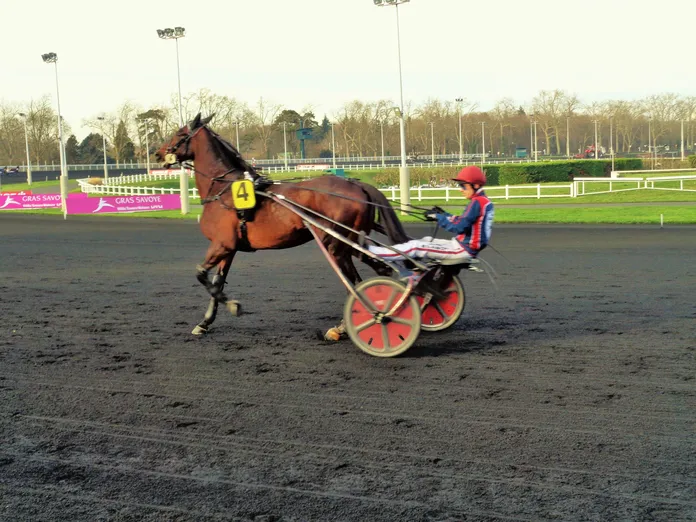 Traders dans le Prix du Cornulier
