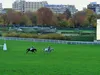 Mais qui c’est celui-là ?
