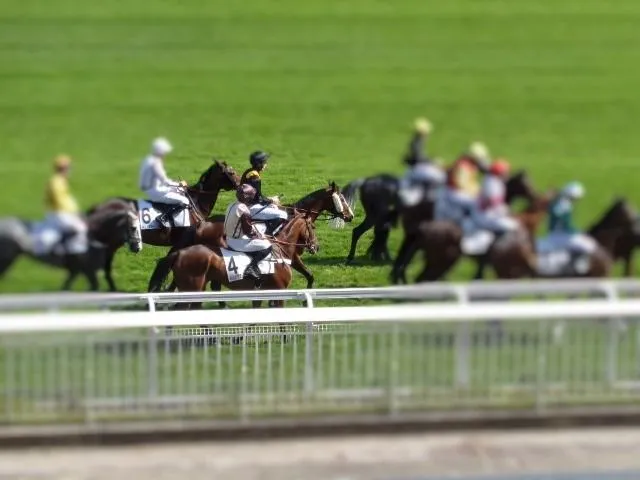 élevage du Puy Noir