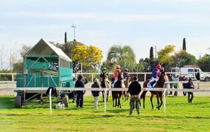 Mes hippodromes préférés