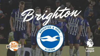 Brighton & Hove Albion FC : Les Seagulls se prennent à rêver