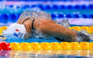 Championnats du Monde Natation 2024 : Le programme et les résultats du jour (16 février)