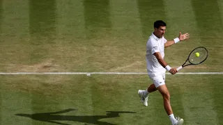 Wimbledon (H) : Djokovic et Shapovalov filent en huitièmes sans trembler