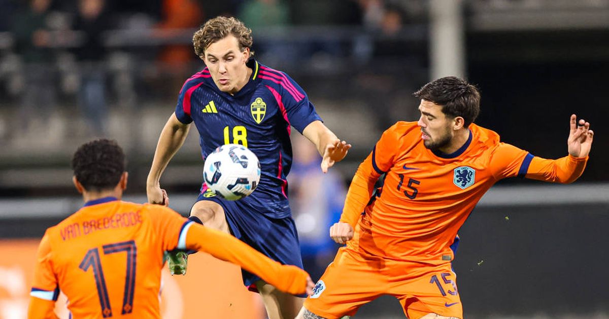 Mercato Rennes : qui est Hampus Skoglund, la nouvelle lubie d’Habib Beye ?