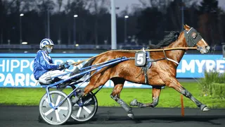 Pronostics Turf du 13/07/2022