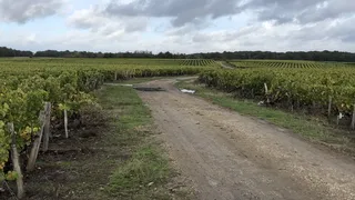 Présentation de la Classiques des feuilles mortes (et des vignes) : Paris-Tours