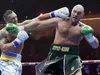 Boxe WBO : Le classement des Poids Lourds