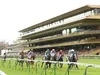 29/05/2022 : nos outsiders préférés pour la réunion de ParisLongchamp !