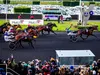 Prix d’Amerique 2025 : partants, pronostic et cote