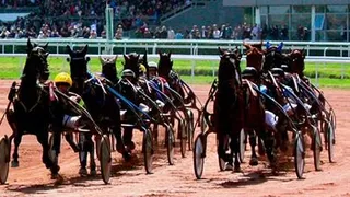 L’engagement rêvé pour Azéla des Pleignes ?? C’est parti pour le quinté plus à Bordeaux ! 