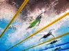 Championnats du Monde Natation 2024 : Le programme et les résultats du jour (18 février)