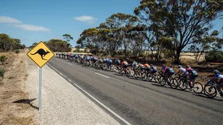 Cyclisme : Le guide complet des courses en Australie