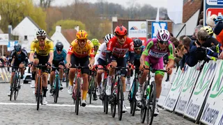 Nokere Koerse 2024 – Classement et résultat