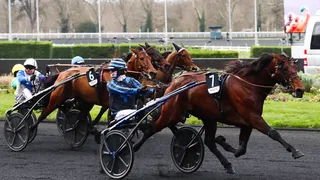 Classement Prix d’Amérique 2025 : résultat et quinté dans l’ordre