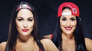 Le retour des Bella Twins , un flop ?