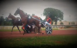 Les bébés trotteurs déterrent la… H de guerre !