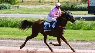 Pronostics Turf du 17/06/2022