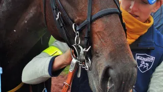 Réunion secrète à Chartres…
