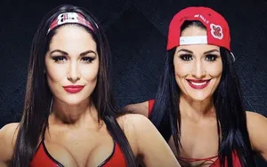 Le retour des Bella Twins , un flop ?