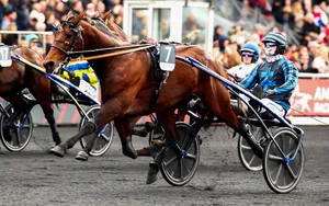 Prix d’Amérique Legend Race 2025 : la liste officielle des 18 partants